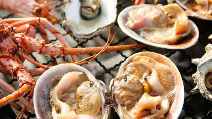 綱元直売魚太郎