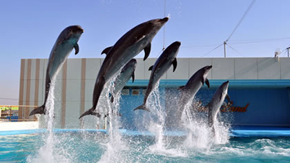 南知多ビーチランド